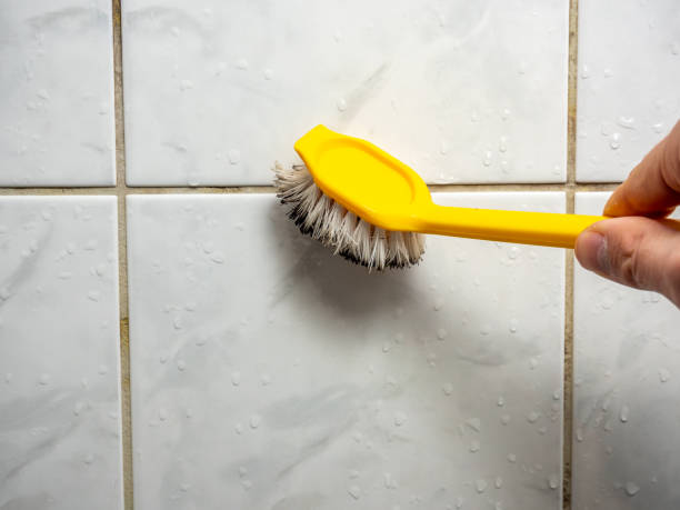 Best Black Mold Removal  in Harvey, LA