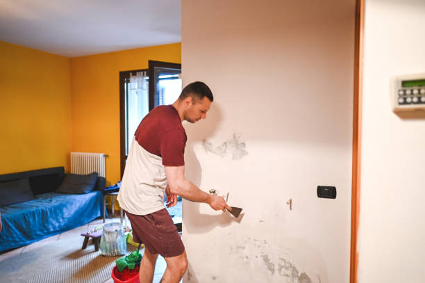 Office Mold Removal Services in Harvey, LA
